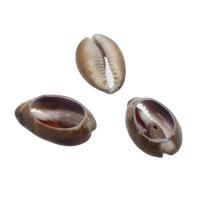 Shell Halsband, Trumpetsnäcka, DIY, brun, 30*20*9mm, Ca 120PC/Bag, Säljs av Bag