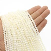 Natural White Shell Beads Round polished DIY white Sold By Strand