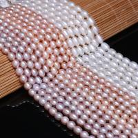 Rice ferskvandskulturperle Beads, Ferskvandsperle, ellipse, poleret, forskellige farver og mønster for valg & du kan DIY, flere farver til valg, Grade AAA, 6-7mm, Solgt af Strand