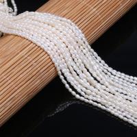 Rice ferskvandskulturperle Beads, Ferskvandsperle, Ris, poleret, du kan DIY, hvid, Grade AAA, 2.0-2.5mm, Solgt af Strand