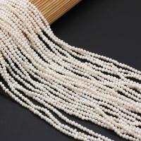 Kartoffel ferskvandskulturperle Beads, Ferskvandsperle, naturlig, du kan DIY, hvid, 2-3mm, Solgt af Strand