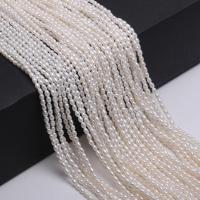 Rice ferskvandskulturperle Beads, Ferskvandsperle, Ris, naturlig, du kan DIY, hvid, 2-2.5mm, Solgt af Strand