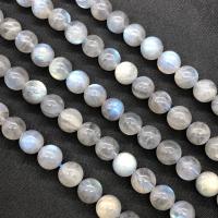 Moonstone goutte, Rond, poli, normes différentes pour le choix, année AAAAA, Vendu par Environ 15 pouce brin