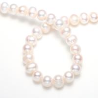 Prátaí Saothraithe coirníní Péarla Fionnuisce, Pearl Fionnuisce, nádúrtha, bán, 11-12mm,15*10.6cm, Poll:Thart 0.8mm, Díolta Per Thart 15 Inse Snáithe