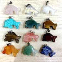 Bijoux Pendentifs en pierres gemmes, Pierre naturelle, animal, 12 pièces & unisexe & styles différents pour le choix, plus de couleurs à choisir, 21x14x7mm, Vendu par fixé