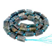 Gemstone Jewelry Beads Apatites Column polished DIY Sold By Strand