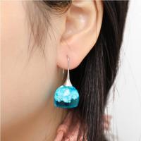 Hars Earring, Zinc Alloy, met Hars, mode sieraden, blauw, Verkocht door pair