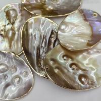 Μενταγιόν Shell, Περλ Shell, Ωοειδής, Βιώσιμη & DIY, 70x56x10mm, 20PCs/τσάντα, Sold Με τσάντα