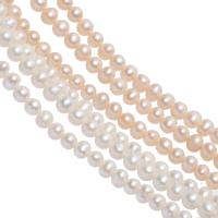 Okrugli Kulturan Slatkovodni Pearl perle, uglađen, možete DIY, više boja za izbor, 5-6mm, Prodano By Strand