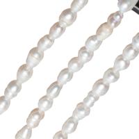 Rice Gekweekte Zoetwater Parel kralen, Onregelmatige, gepolijst, DIY, wit, 3-4mm, Verkocht door Strand