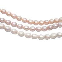 Rýže kultivované sladkovodní perle, Sladkovodní Pearl, Nepravidelné, lesklý, DIY, více barev na výběr, 10-11mm, Prodáno By Strand