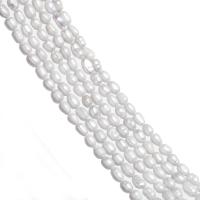 Rice ferskvandskulturperle Beads, Ferskvandsperle, Teardrop, poleret, du kan DIY, hvid, 4-5mm, Solgt af Strand