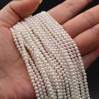 Naturfarvet Shell Perler, South Sea Shell, Runde, forgyldt, du kan DIY, flere farver til valg, 3mm, 130pc'er/Strand, Solgt af Strand