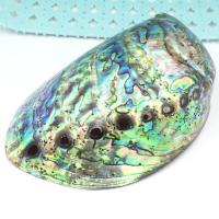 Abalone Shell řemesla výzdobě, unisex, multi-barevný, 100x130mm, Prodáno By PC