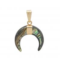 Naturlig Abalone Shell Pendler, Messing, med Shell, mode smykker & Unisex, grøn, 20mm, Solgt af PC