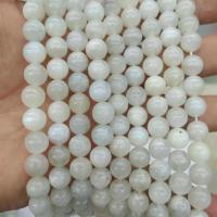 Perles Pierre de lune, Moonstone, Rond, poli, DIY & normes différentes pour le choix, blanc, protéger l'environnement, sans nickel, plomb et cadmium, Vendu par brin