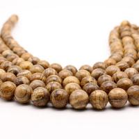 Natural Picture Jasper Beads Round polished DIY Sold By Strand