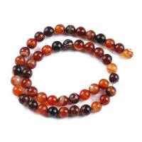 Natural Miracle Agate Beads Round polished DIY Sold By Strand