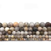 Bamboo Agate Beads Round polished DIY Sold By Strand