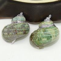 Tromba naturale Shell pendenti, conchiglia, with lega in zinco, Lumaca di mare, placcato, DIY, nessuno, 20-35mm, Venduto da PC