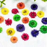 Mobile Phone DIY Decoration Dried Flower Flower mixed colors nickel lead & cadmium free 5-8mm Sold By Bag