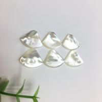 Shell Cabochoner, White Shell, poleret, du kan DIY, hvid, 10.50x13.50x2.30mm, Solgt af PC