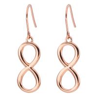 Titanium Staal Drop Earring, plated, voor vrouw, meer kleuren voor de keuze, 21mm, Verkocht door pair