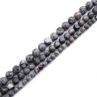 Gemstone Jewelry Beads Map Stone Round polished DIY Sold By Strand