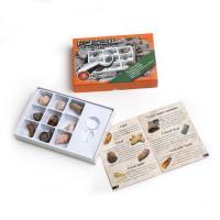 Meeresfossil Fossils Specimen, Unregelmäßige, 180x120x30mm, 9PCs/Box, verkauft von Box