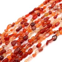 gemstone Chips, Red Agate, Uregelmæssig, poleret, du kan DIY, rødligorange, 6x9mm, Solgt af Strand