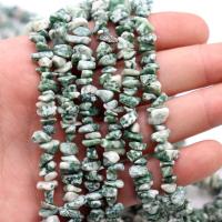 Edelsteen chips, Green Spot Stone, Onregelmatige, 5x8mm, Verkocht door Strand