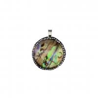 Natuurlijke Abalone Shell Hangers, Abalone Schelp, met Zinc Alloy, Ronde, DIY & met strass, 34x43mm, 5pC's/Bag, Verkocht door Bag