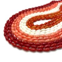 Přírodní Coral korálky, Korál, Slza, DIY, smíšené barvy, Prodáno za 38 cm Strand