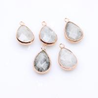 Pendants Gemstone Jewelry, Labradorite, le Sinc Alloy, Teardrop, dath an óir plated, DIY, 22x14mm, Díolta De réir PC