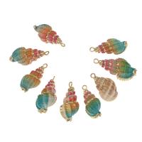 Bhlaosc Necklaces, Shell, le Prás, Conch, dath an óir plated, 45*18*5mm/32*25*2mm, Thart 10ríomhairí pearsanta/Mála, Díolta De réir Mála