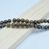 Bronzite Stone Beads, Γύρος, γυαλισμένο, DIY & διαφορετικό μέγεθος για την επιλογή, Sold Με Strand