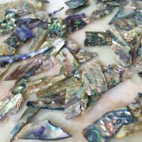 conchiglia Abalone decorazione, Irregolare, DIY, 10-15mmx0.5-2mm, Venduto da kg