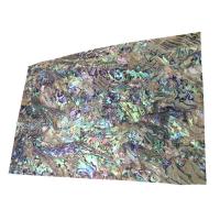 Abalone Shell Shell Sheet, Rektangel, du kan DIY, 240x140mm, Solgt af PC