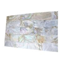 Freshwater Shell Shell Sheet, Rechthoek, DIY, wit, 240x140x0.50mm, Verkocht door PC