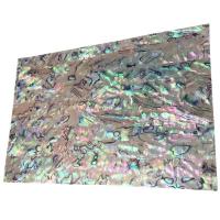 Abalone Shell Φύλλο Shell, Ορθογώνιο παραλληλόγραμμο, DIY, 240x140mm, Sold Με PC