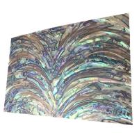 Abalone Shell Φύλλο Shell, Ορθογώνιο παραλληλόγραμμο, DIY, 240x140mm, Sold Με PC