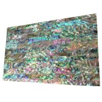 Muszla Abalone Shell Sheet, Prostokąt, DIY, 240x140mm, sprzedane przez PC