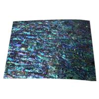 Muszla Abalone Shell Sheet, Prostokąt, DIY, 240x140mm, sprzedane przez PC