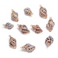 Naturlig Trumpet Shell Pendler, Conch, guldfarve belagt, du kan DIY, 20mm, Solgt af PC