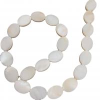 Natuurlijke zoetwaterschelp kralen, Freshwater Shell, Ovaal, DIY, wit, 10x12mm, Verkocht door Strand