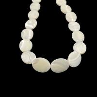 Natural White Shell Kralen, Schelp, Ovaal, gepolijst, DIY & verschillende grootte voor keus, wit, Verkocht door Strand