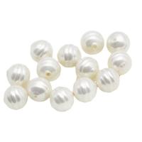 Conchiglia naturale d'acqua dolce, Shell Pearl, Irregolare, Inciso, DIY, nessuno, Venduto da PC