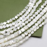 Natural White Shell Kralen, Schelp, Traan, Andere vorm voor keuze & DIY, wit, Verkocht door Lot