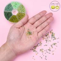 Rainbow Χάντρες Seed, Χάντρες από γυαλί Seed, DIY & διαφορετικό μέγεθος για την επιλογή, Τρύπα:Περίπου 1.5mm, Sold Με Box