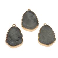 Gemstone Vedhæng Smykker, Lotus Jasper, med Zinc Alloy, flere farver til valg, 30x20x6mm, Solgt af PC